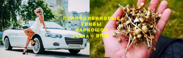 молекула духа Балахна